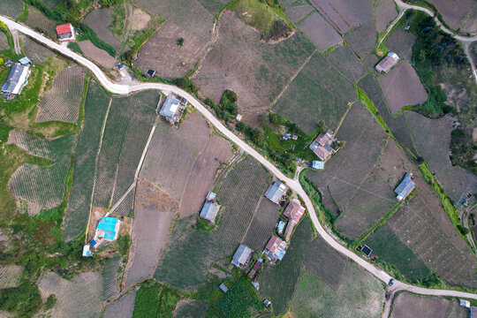Cultivos de cebolla junca, papa, criolla, arboles y valles que rodean la laguna de Tota, ubicada en Boyac&agrave; Colombia 