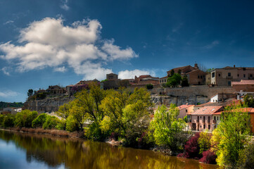 Fototapeta na wymiar The city of Zamora in the community of Castilla y Leon. Spain