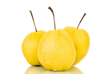 Three organic bright yellow pears, close-up, isolated on a white background.