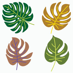 Simplicity monstera leaf freehand continuous line drawing flat design. © tanarch