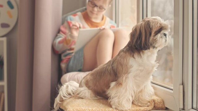Pretty little girl with down syndrome drawing in sketch pad with wax crayons, sitting on windowsill together with cute shih tzu dog