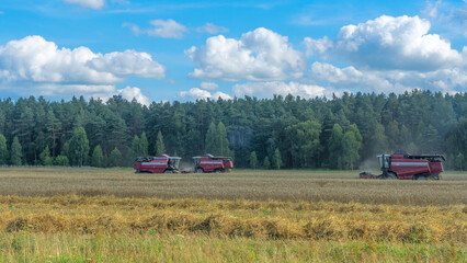 Fototapeta na wymiar Combine harvester harvesting on the field. Harvesting wheat. Harvester machine working in field.