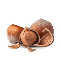 Hazelnuts isolated on white background. Deep focus