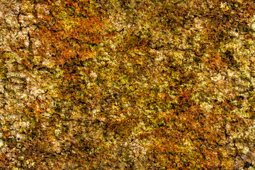 Abstract background or texture of brown and green colors