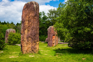 Menhirs in the meadow of the forest near Monteneuf, Brittany, France