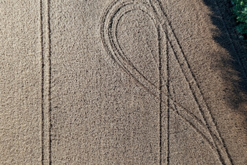 Top-down aerial view of a ripe wheat field with parallel traces of agricultural machinery