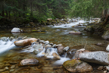 Naklejka na ściany i meble Fast mountain river in forest. Rackova valley, Western Tatras mountains. Slovakia