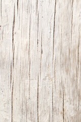 Fototapeta na wymiar modern nordic style dry white driftwood background
