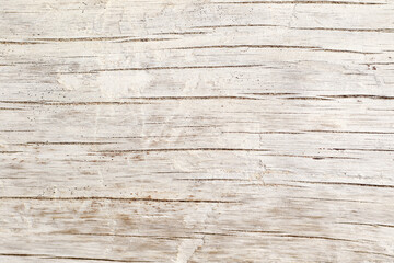 modern nordic style dry white driftwood background - obrazy, fototapety, plakaty