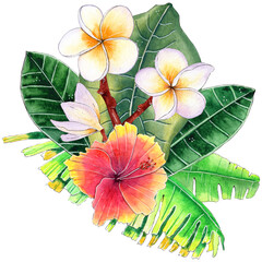 Tropical Flowers Bouquet Watercolor Design.