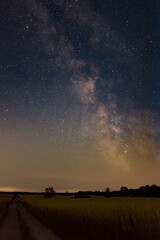 Obraz na płótnie Canvas Milkyway over fields