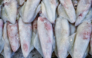 fresh squid at the fish market in Setubal, Portugal