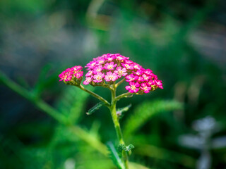 fragile 104