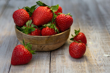 Strawberry in the flower pot