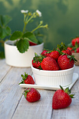 Strawberry in the flower pot
