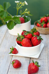 Strawberry in the flower pot