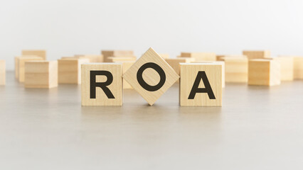 word ROA is made of wooden blocks on white background