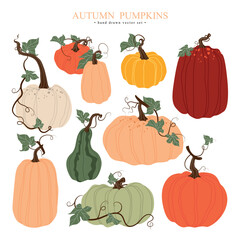 Hand drawn vector set of colorful pumpkins with leaves for autumn decorative design, halloween, harvest, thanksgiving. Concept vegetables, crops, food, farming.