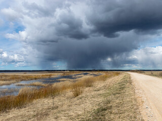 simple rural landscape with a rural road, beautiful cumulus clouds
