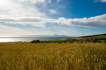 A view of the Firth of Clyde on the west coast of Scotland. Farming fields with sheep and wheat are in the foreground with calm north sea water below a blue sky on a Scottish summer day