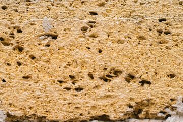 The background is made of beige stone. Decorative brick. Porous texture.