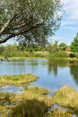 Summer landscape in the southern natural reserve of Colon, Entre Rios, Argentina