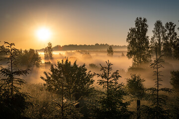 The sun says, Good morning.