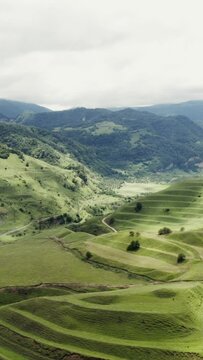 A gentle mountain slope with grass with waves of terraces from a quadcopter