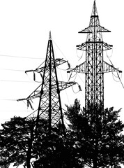 trees under electric towers isolated on white