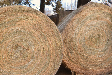 rolls of bales of pasture for horses