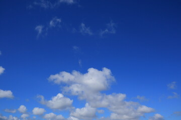 青い空に白い雲