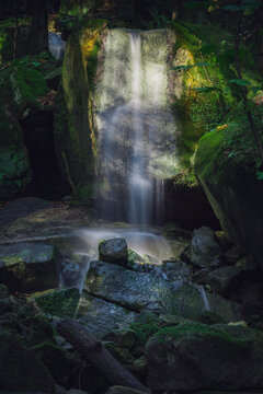 waterfall in the forest