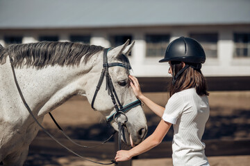 Young teenage girl equestrian showing love and care to her favorite horse. Dressage outfit - 520416891