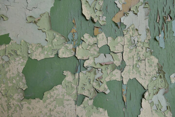 Old green paint falling off the wall