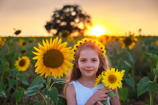 Girl and sunflowers in sunflower field during sunset. Agriculture, farming, childhood and carefree concept..
