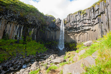Svartifoss falls in summer season view, Iceland