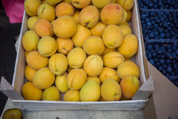 Fresh apricots in boxes on the market