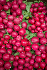 Vegetables on the market counter, radishes in a box for sale