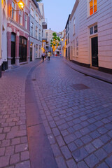 Cityscape small northern european city. Stone street with old houses and buildings. Breda, Netherlands