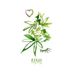 Cannabis branch sativa watercolor illustration. Medical marijuana. Plant of love in pink colors. Botanical illustration, ganja.