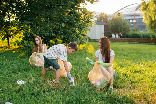 A group of adults and children together at sunset is engaged in garbage collection in the park. Environmental care, waste recycling. Sorting garbage.