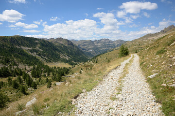 Plakat chemin de randonnée dans les Alpes italiennes en été