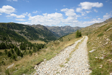 Fototapeta na wymiar chemin de randonnée dans les Alpes à la frontière entre la France et l'Italie - Alpes