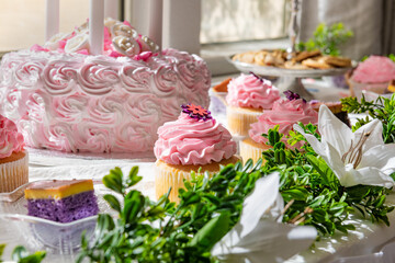 A Delicious Array of Cupcakes and Cake
