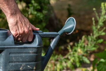 A man watering a garden with a watering can, during a hot summer in Sussex