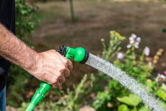 A garden being watered with a hosepipe