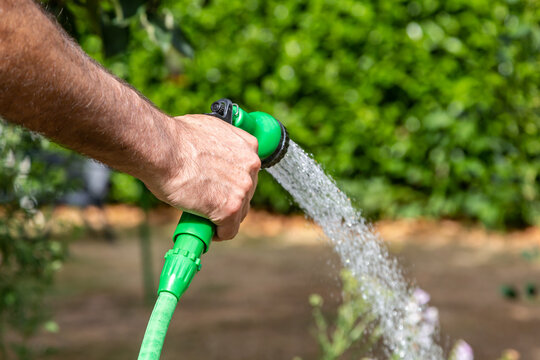 A garden being watered with a hosepipe