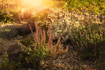 Decorated colorful flowerbed with stones as a decorative elements. Landscape design.