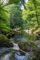 Obraz premium The beautiful East Lyn River, Exmoor,Somerset in summer