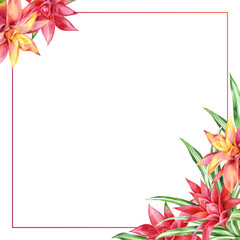 Watercolor floral square frame with exotic flowers and leaves. Tropical background for banners, postcards, wedding stationary, greetings, backgrounds, textiles , DIY, wrapping paper